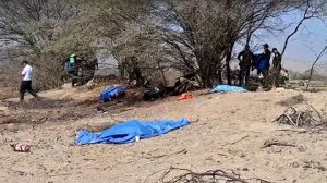 nazca-lines-peru-tangkapan-layar-ids-noticias-peruvian-government-handout-reuters-1785636872900_169